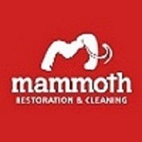 Mammoth Restoration & Cleaning