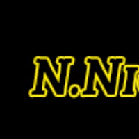 N.Nicolas Professional Limo Services