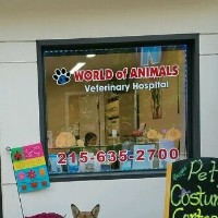 World Of Animals, Inc. at Elkins Park