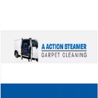 A Action Steamer carpet cleaning
