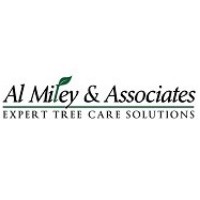 Al Miley Tree Removal