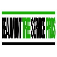 Beaumont Tree Service Pros