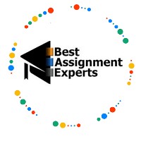 Best Assignment Experts