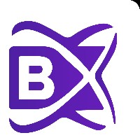 BlockchainX