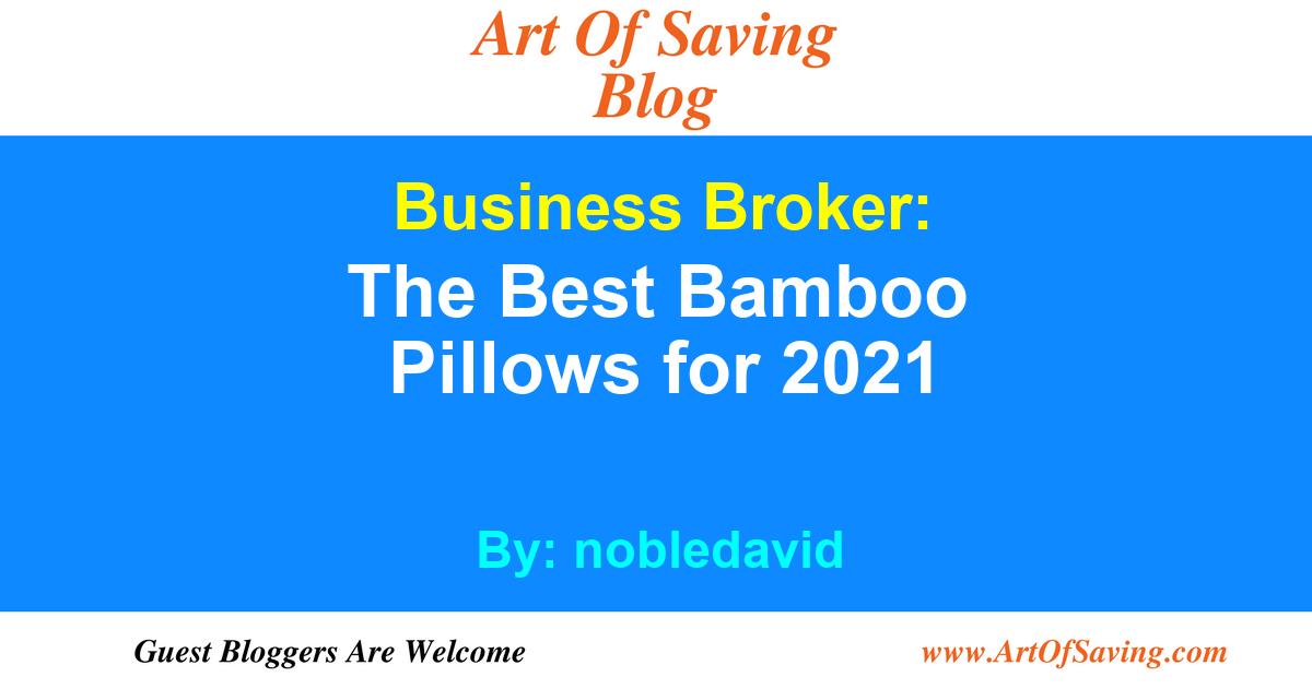 nobledavid The Best Bamboo Pillows for 2021 (Business Broker) Art Of