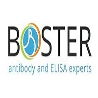 Boster Bio