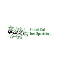 Branch Out Tree Specialist