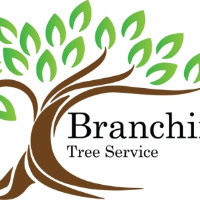 Branching Out Tree Service