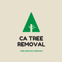 CA Tree Removal of Etobicoke