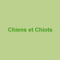 Chiens et Chiots