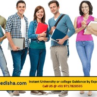 college disha