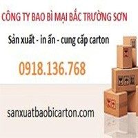 Cty Bắc Trường Sơn