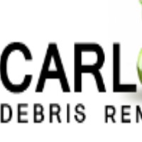 Debris Removal Hollywood FL - Carlos