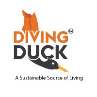Diving Duck