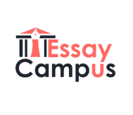 Essay Campus