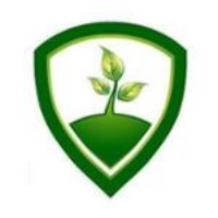 Financier Pty Ltd