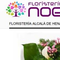 floristerianoe