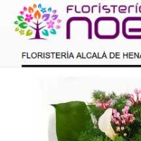 floristerianoe