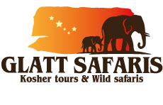 Glatt Safaris