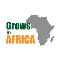 Grows in Africa