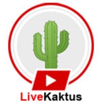 live kaktus