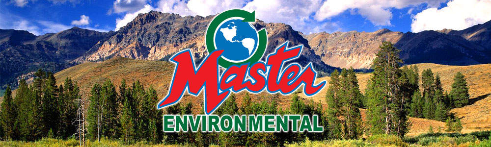 Master Environmental