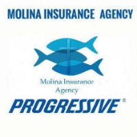Molinainsuranceagency