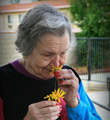 Park Side Gardens