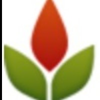 Phoenix SEO Company, LHI SEO Consultant Phoenix