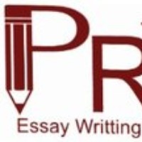 Pro Essay Writing Service