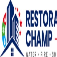 Restoration Champ of Los Angeles