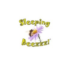 Sleeping Beezzz! Honey LLC