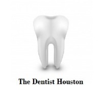 The Dentist Houston