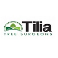 Tilia Tree Surgeons