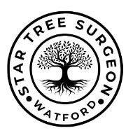 Tree Surgery Watford