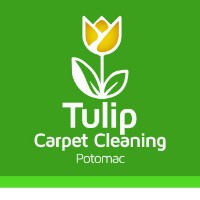 Tulip Carpet Cleaning Potomac