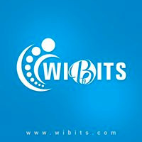 Wibits Web Solutions LLP