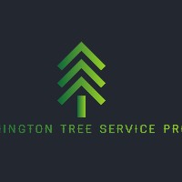 Wilmington Tree Service Pros